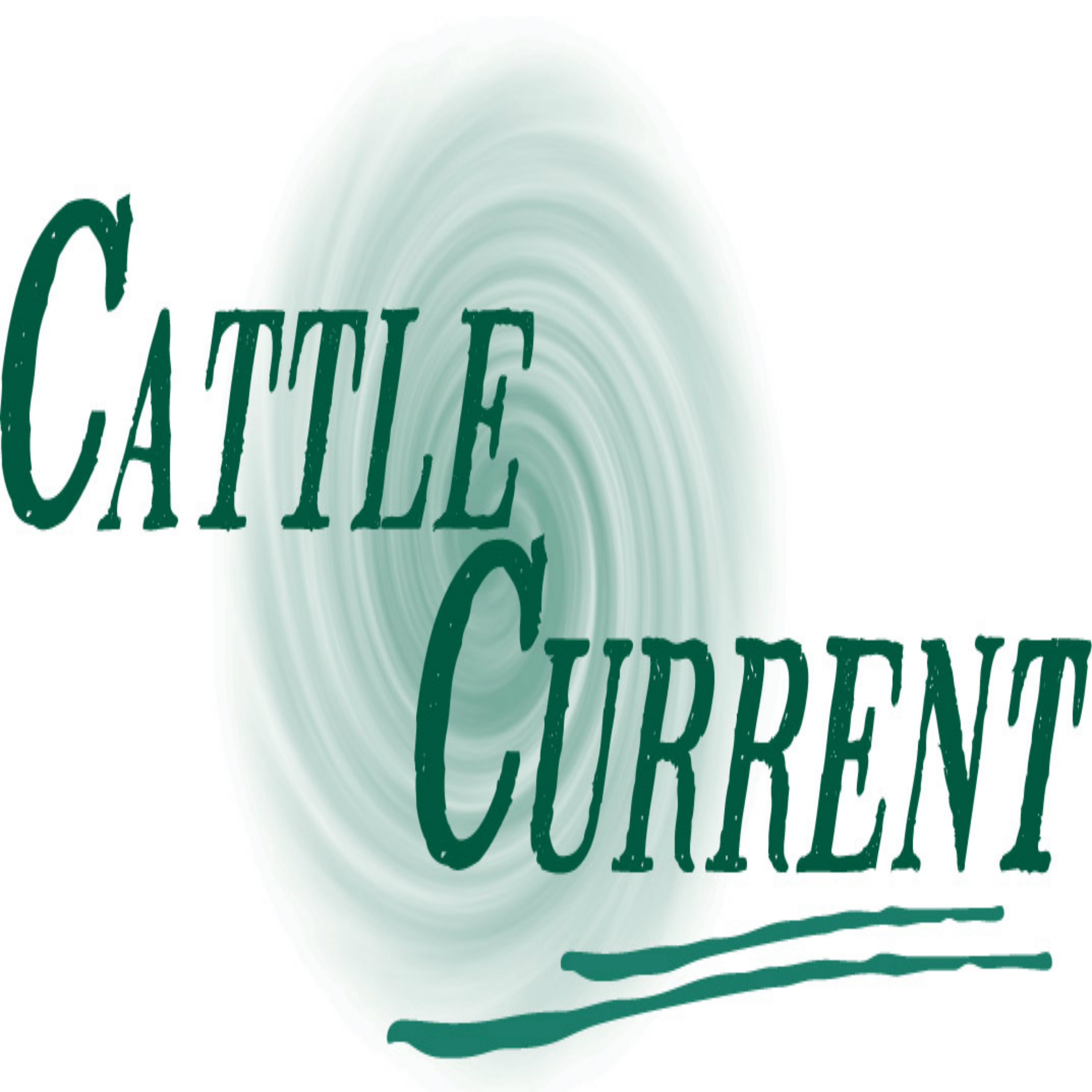 Cattle Current Market Update with Wes Ishmael